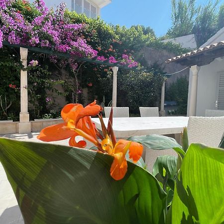 Villa Ardura - Island Holiday Residence **** Bol. Island Brac Habitación foto